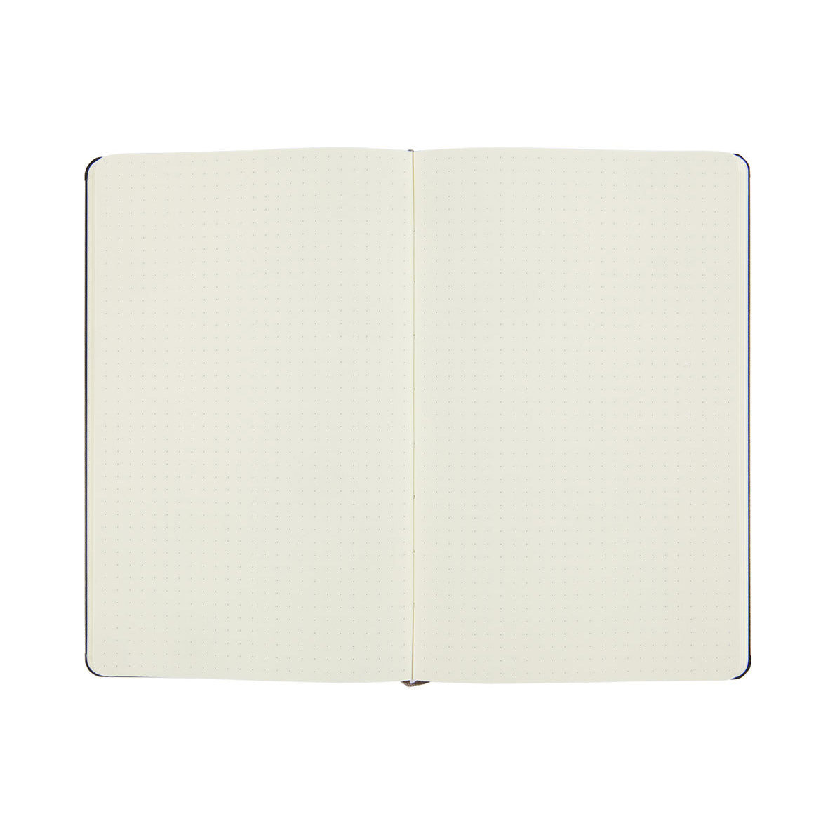 Moleskine Classic Large Notebook Hard Cover Dotted