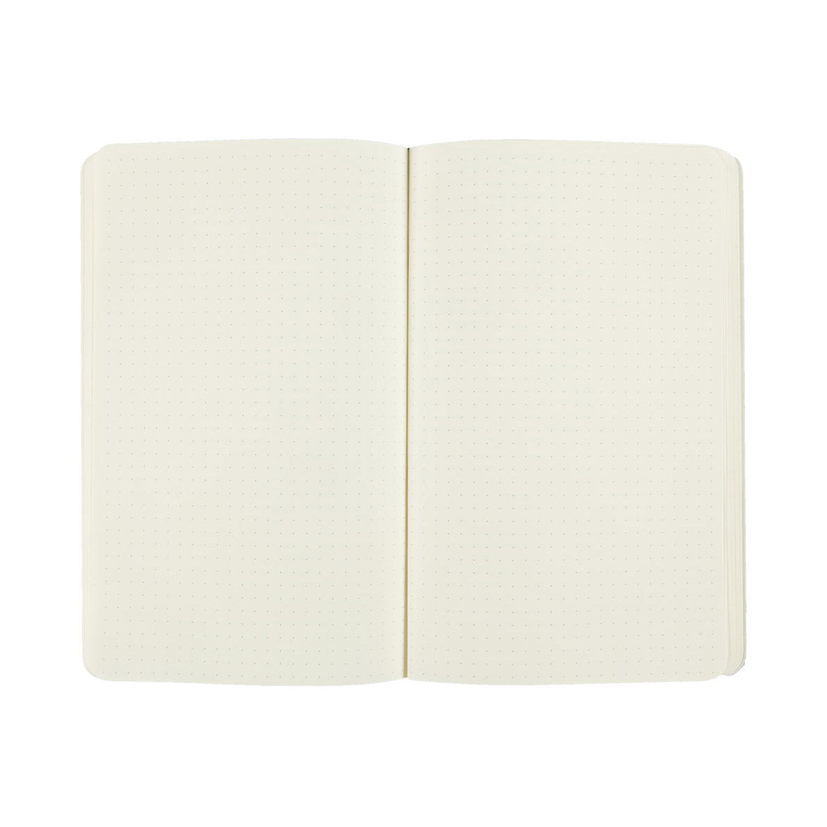 Moleskine Classic Large Notebook Soft Cover Dotted - image 2