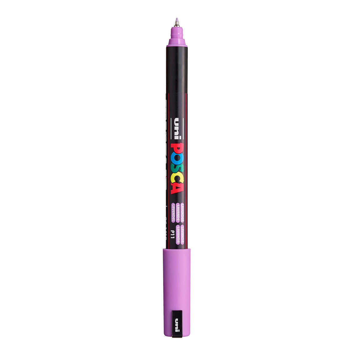 P11 Lavender / P. Purple